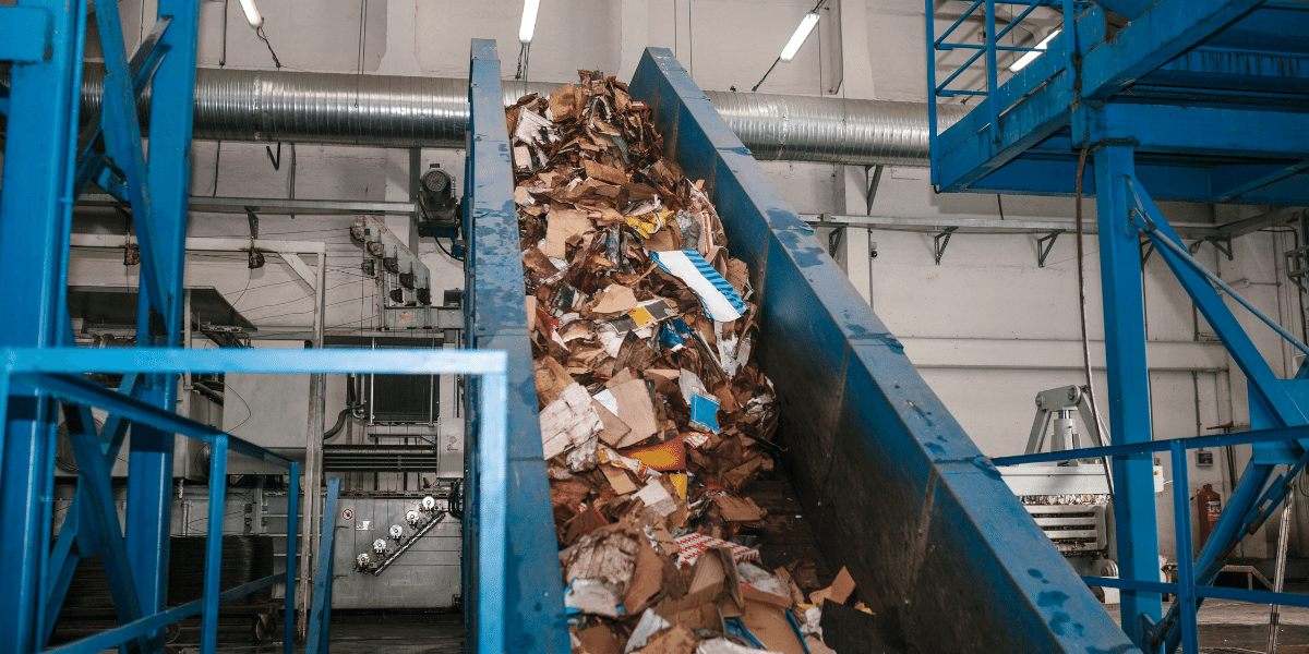 Φωτογραφία Αρχείου-Πηγή: Canva